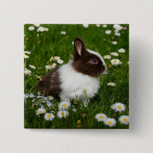 Small Brown and White Bunny in Flowers 15 Cm Square Badge