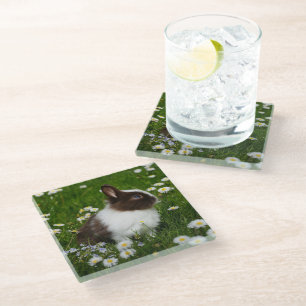 Small Brown and White Bunny in Flowers Glass Coaster