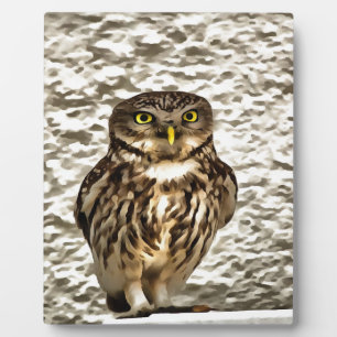 Small Brown Barn Owl Artistic Portrait Plaque