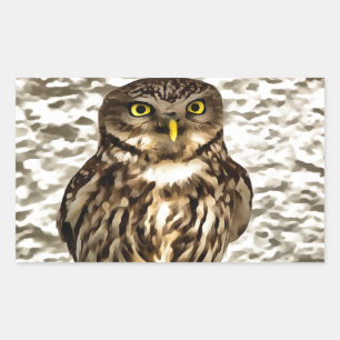Small Brown Barn Owl Artistic Portrait Rectangular Sticker