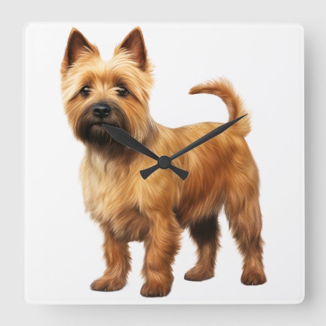 SMALL BROWN NORWICH TERRIER DOG SQUARE WALL CLOCK (Front)