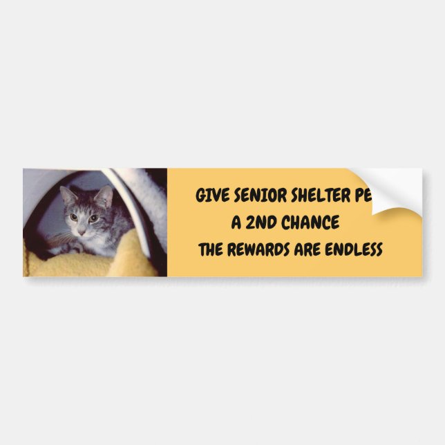 SMALL BUMPER STICKER (Front)