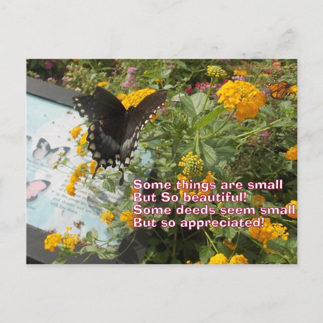 small but appreciated Butterfly card (Front)