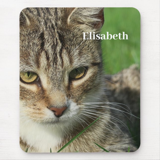 small cat on a green spring meadow  mouse pad (Front)