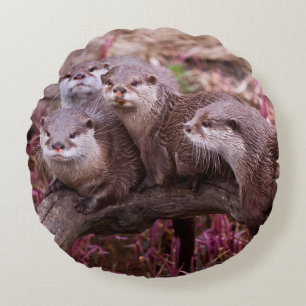 Small Clawed Otters Pillow
