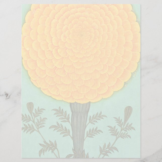 Small Clive Album | A Marigold (Front)