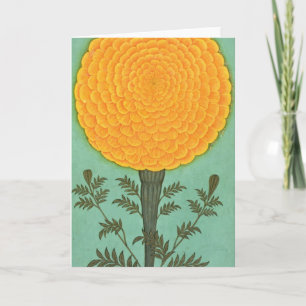 Small Clive Album   A Marigold Card