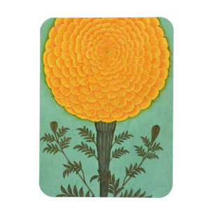 Small Clive Album   A Marigold Magnet