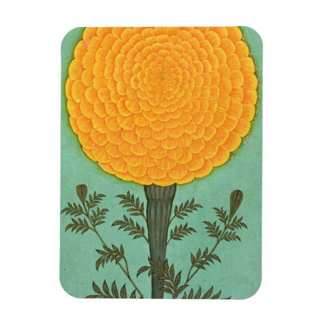 Small Clive Album | A Marigold Magnet (Vertical)
