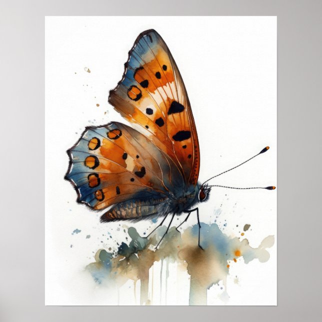 Small Copper Butterfly Art Print Poster (Front)