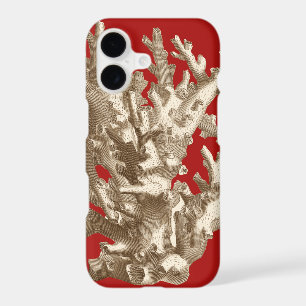 Small Coral in Red