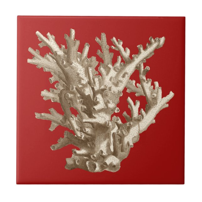 Small Coral in Red Ceramic Tile (Front)
