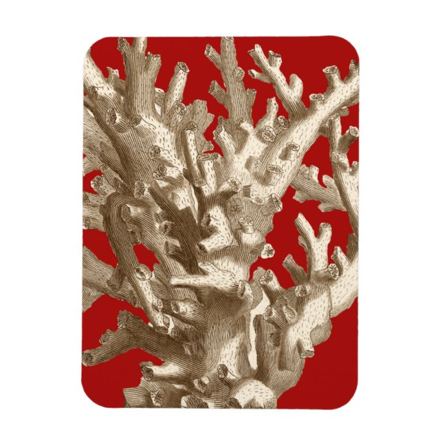 Small Coral in Red Magnet (Vertical)