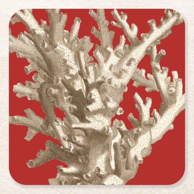 Small Coral in Red Square Paper Coaster (Front)