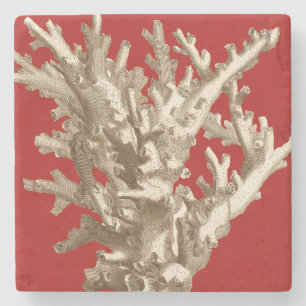 Small Coral in Red Stone Coaster