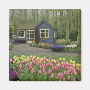 Small cottage flower shop, Keukenhof Gardens, Magnet
