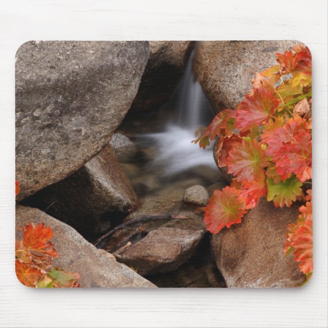Small creek in autumn, California Mouse Pad (Front)