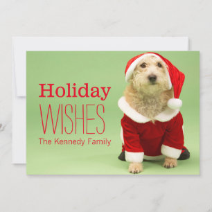 Small Dog In Santa Costume Holiday Card