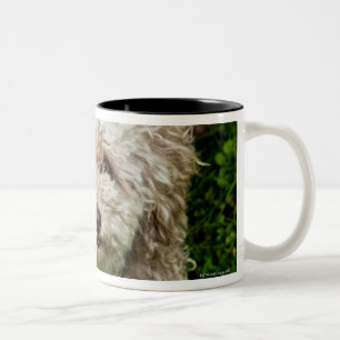 Small dog looking up at camera Two-Tone coffee mug