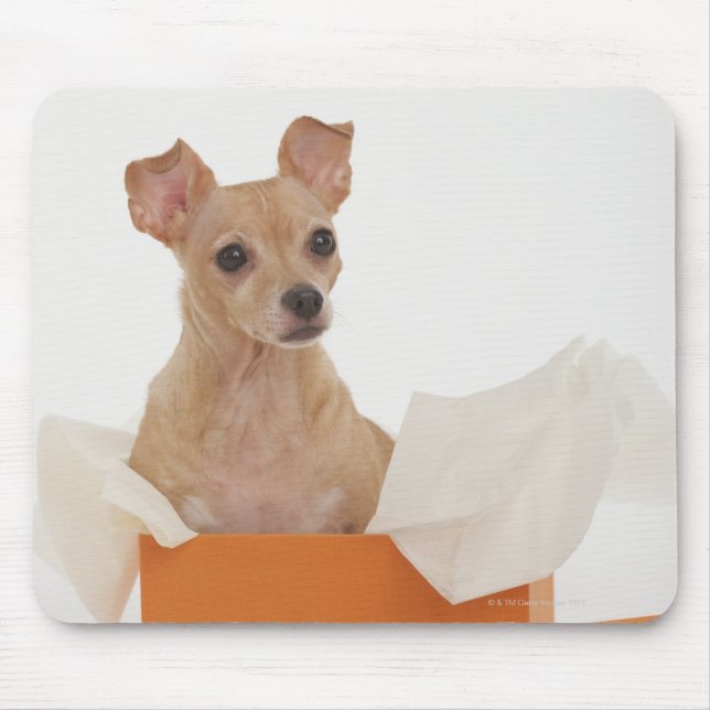 Small dog sitting in gift box mouse pad (Front)