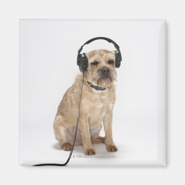 Small dog wearing headphones magnet (Front)