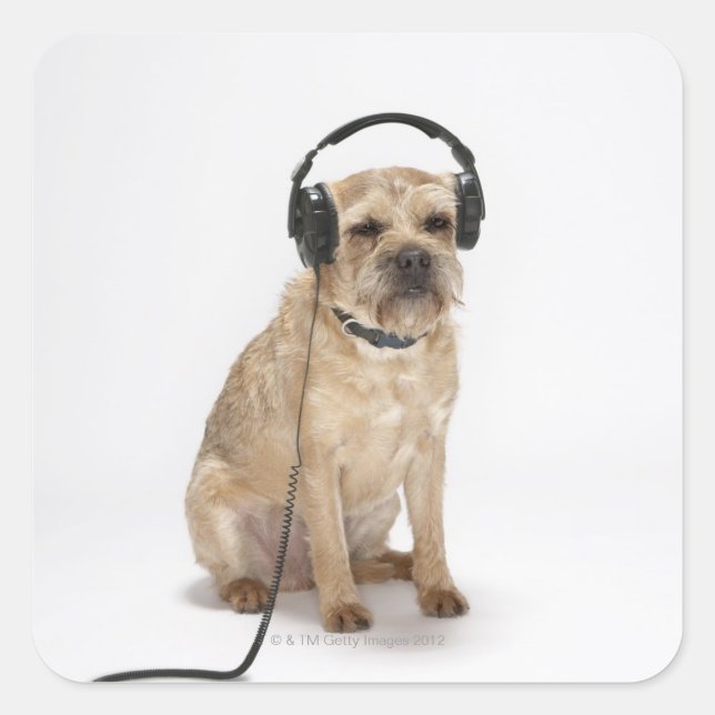 Small dog wearing headphones square sticker (Front)