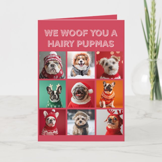 Small Dogs in Sweaters Christmas Card (Front)