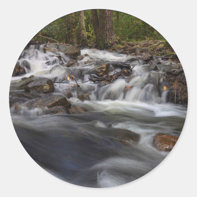 Small Falls on Sand Spring Run Classic Round Sticker (Front)