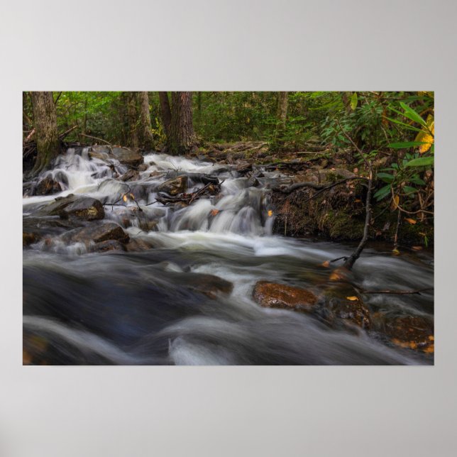 Small Falls on Sand Spring Run Poster (Front)