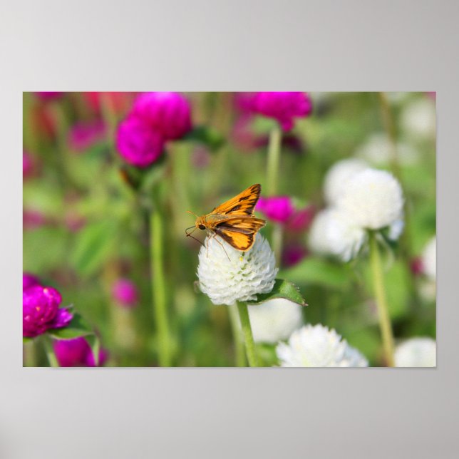 Small Feedings 1 Poster (Front)