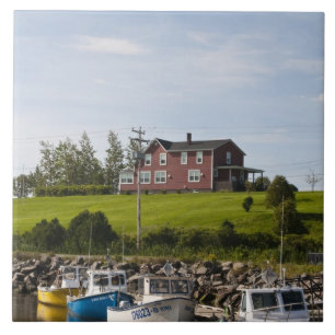 Small fishing village near Grande-Riviere, Tile