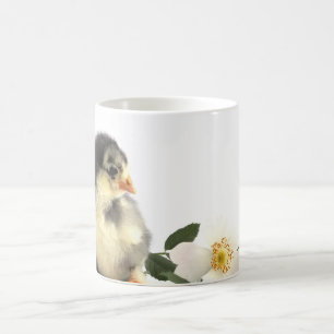 Small fluffy chickens sweet baby coffee mug