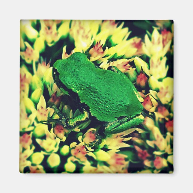 Small Frog Magnet (Front)