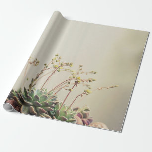 SMALL GARDEN SUCCULENT WRAPPING PAPER