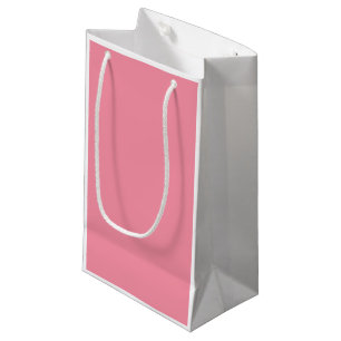 Small Gift Bag: Salmon Pink Front Apple Green Back Bag