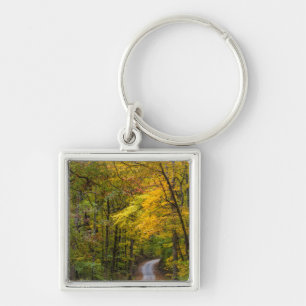 Small Gravel Road Lined With Autumn Colour Key Ring