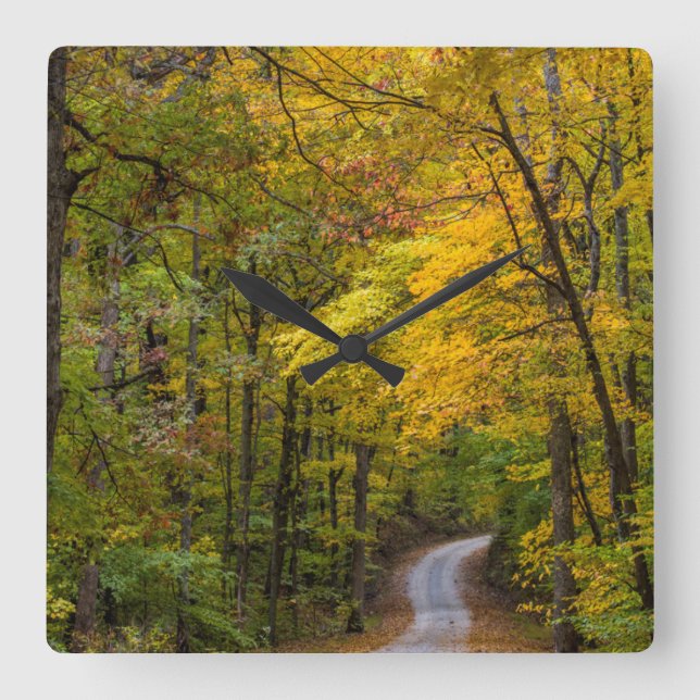 Small Gravel Road Lined With Autumn Colour Square Wall Clock (Front)