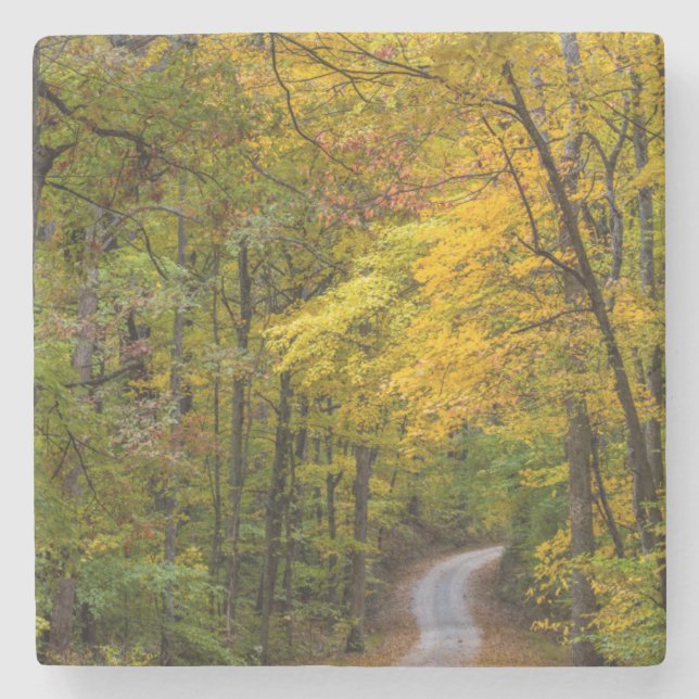 Small Gravel Road Lined With Autumn Colour Stone Coaster (Front)