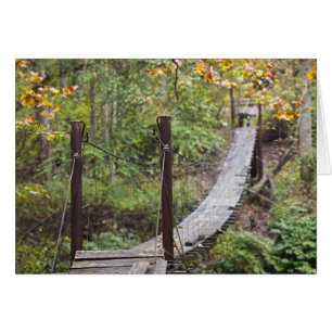 Small hanging bridge, National Coal Heritage