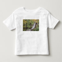 Small hanging bridge, National Coal Heritage