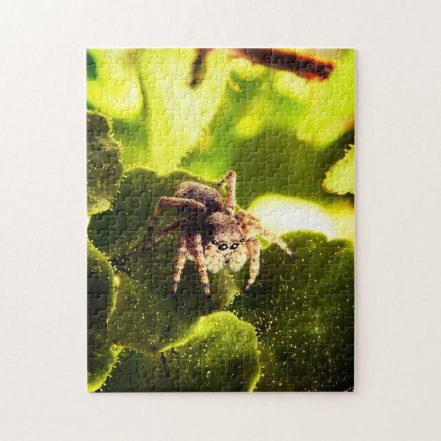 Small Jumping Spider Jigsaw Puzzle (Vertical)