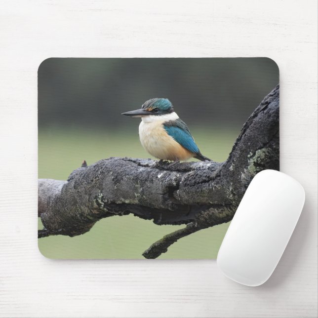 Small Kookaburra Bird Mouse Pad (With Mouse)