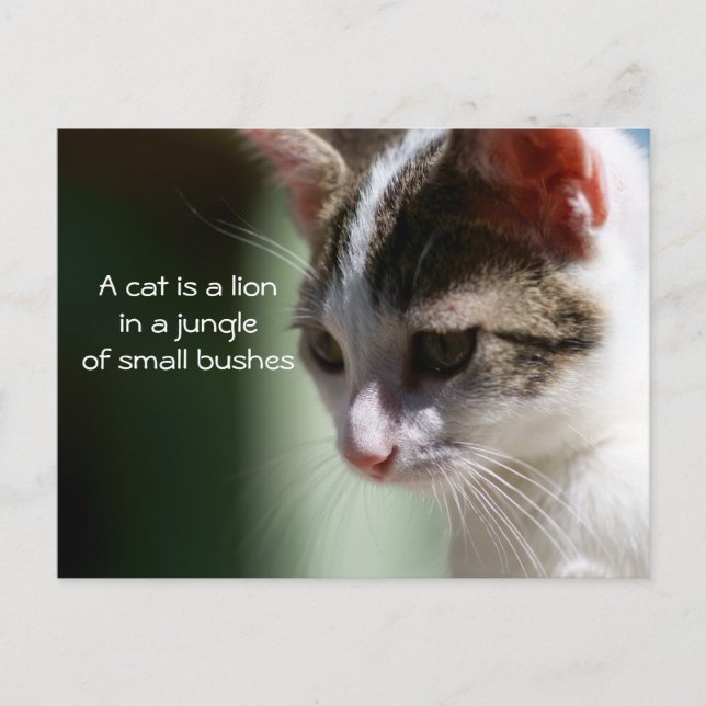 Small Lion Postcard (Front)