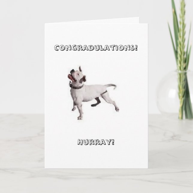 small logo, Congradulations!Hurray! Card (Front)