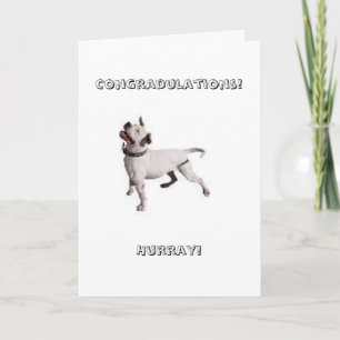 small logo, Congradulations!Hurray! Card