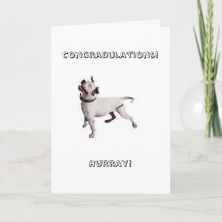 small logo, Congradulations!Hurray! Card