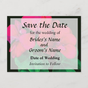 Small Magenta Geranium Announcement Postcard