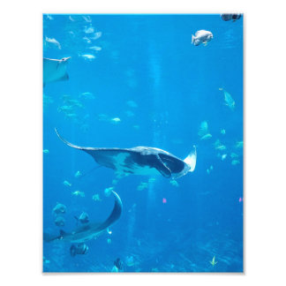 SMALL/MEDIUM SIZE Poster #Y020 on Photograph