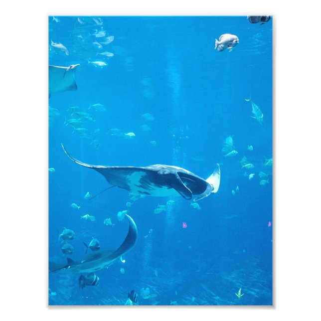 SMALL/MEDIUM SIZE Poster #Y020 on Photograph (Front)