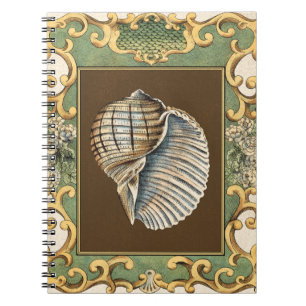 Small Mermaid's Shells Notebook